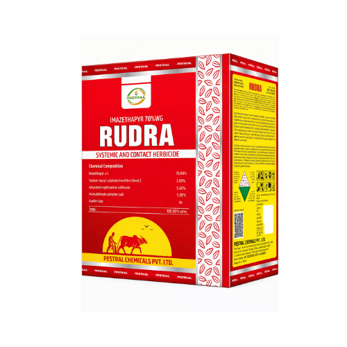 RUDRA